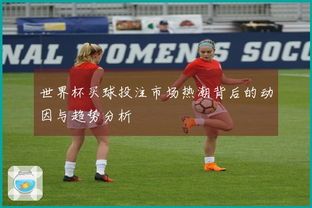 世界杯买球投注市场热潮背后的动因与趋势分析