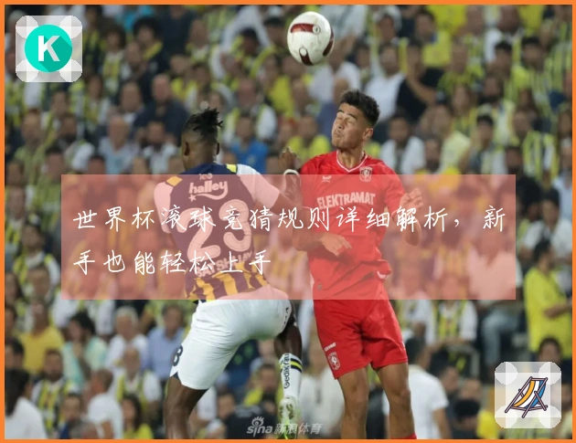 世界杯滚球竞猜规则详细解析，新手也能轻松上手