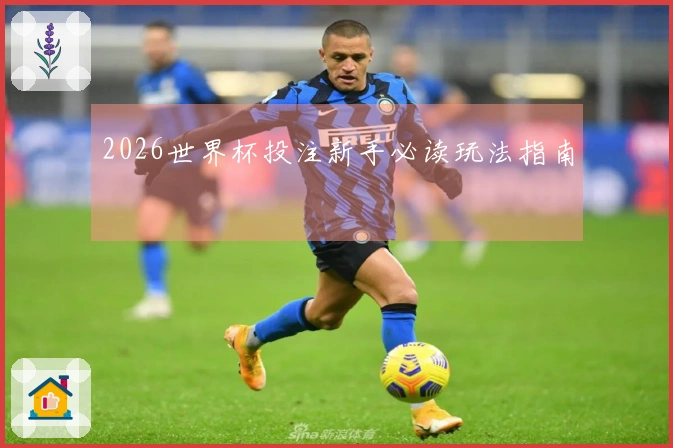 2026世界杯投注新手必读玩法指南