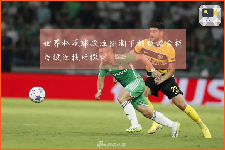 世界杯滚球投注热潮下的数据分析与投注技巧探讨