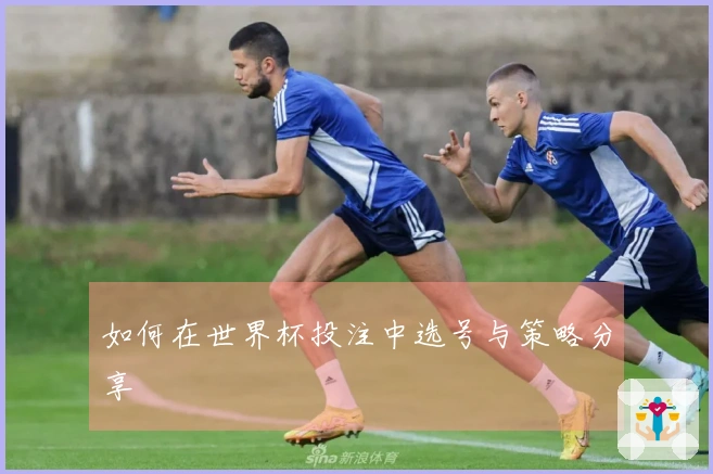 如何在世界杯投注中选号与策略分享