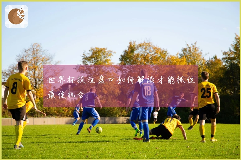 世界杯投注盘口如何解读才能抓住最佳机会