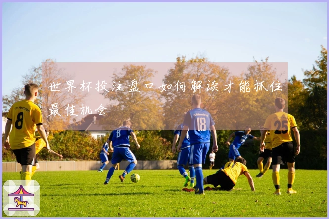 世界杯投注盘口如何解读才能抓住最佳机会
