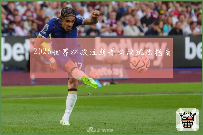 2026世界杯投注新手必读玩法指南