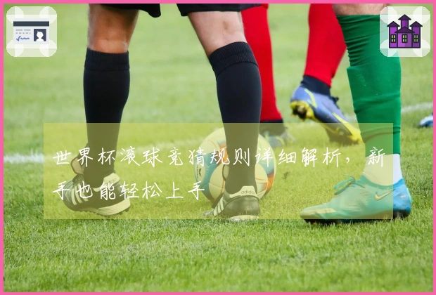世界杯滚球竞猜规则详细解析，新手也能轻松上手