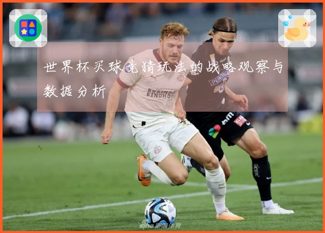 世界杯买球竞猜玩法的战略观察与数据分析